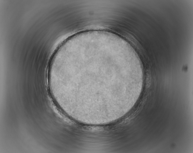 X0000114551030200911301220