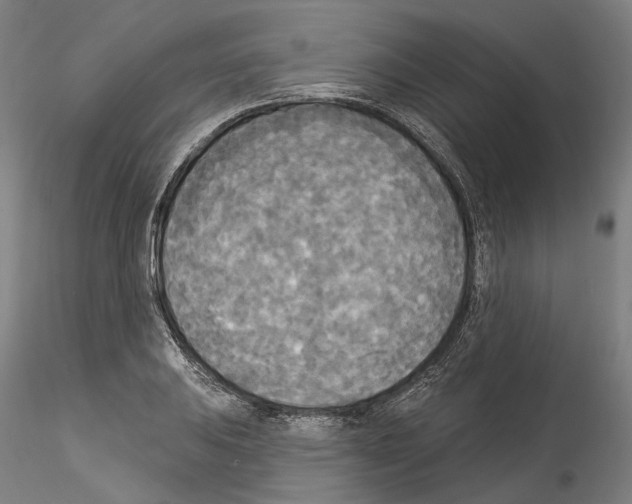 X0000114551031200911301220