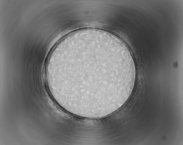 X0000114551032200911301220