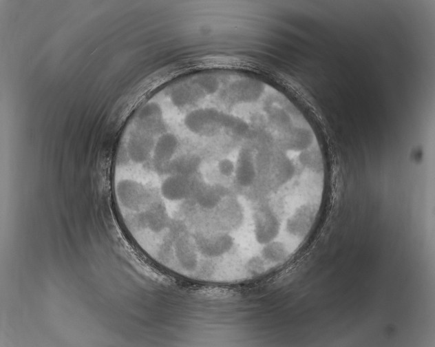 X0000114551033200911301220