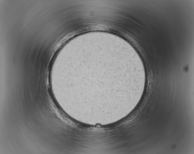 X0000114551034200911301220