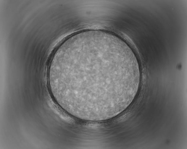X0000114551035200911301220
