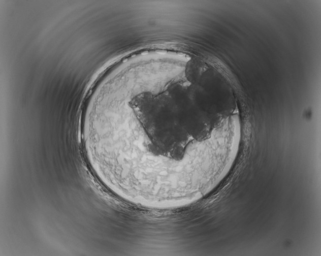 X0000114551036200911301220