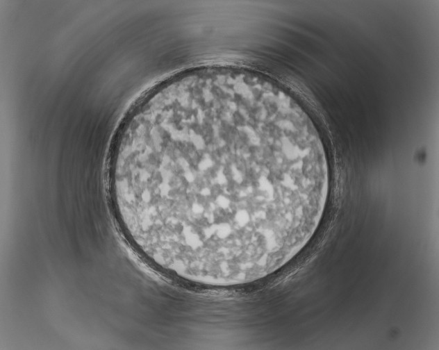 X0000114551037200911301220