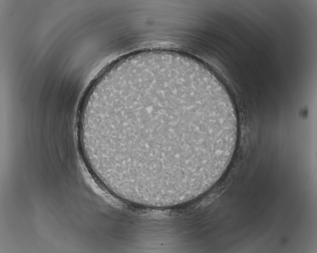 X0000114551038200911301220
