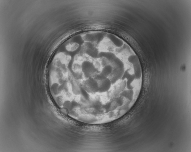 X0000114551039200911301220