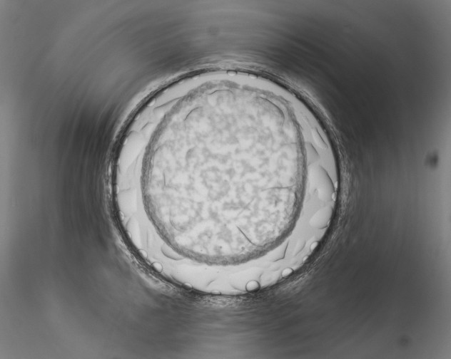 X0000114551040200911301220