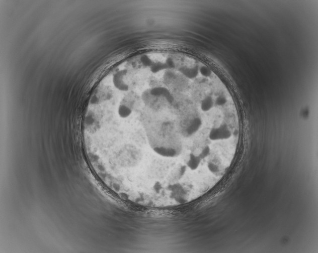 X0000114551041200911301220