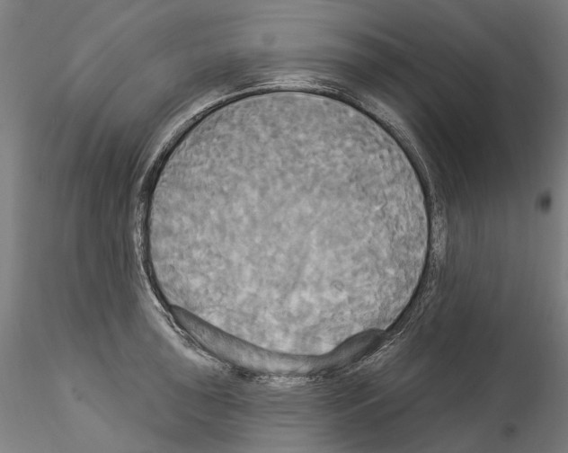 X0000114551043200911301220