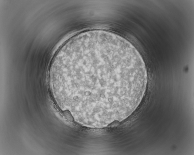 X0000114551044200911301220