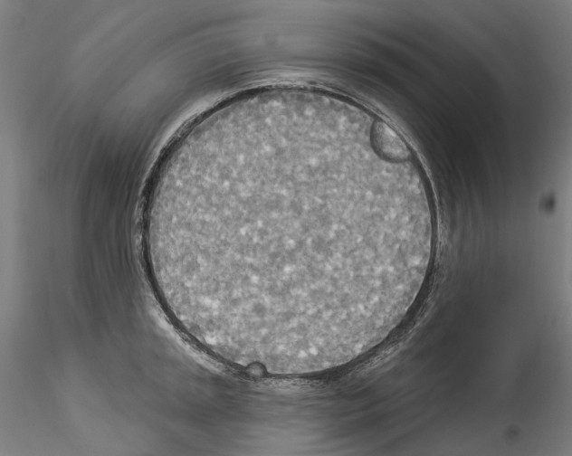 X0000114551045200911301220
