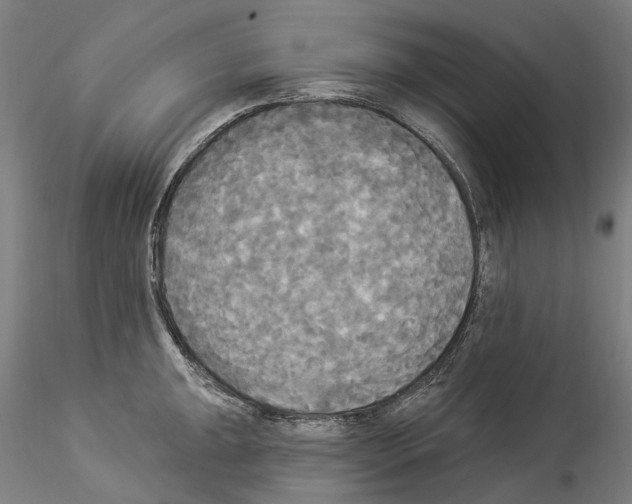 X0000114551047200911301220