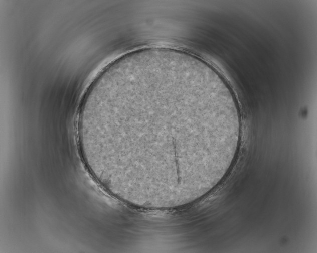 X0000114551048200911301220