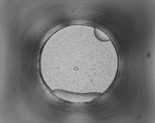 X0000114551050200911301220