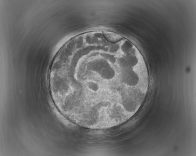 X0000114551054200911301220
