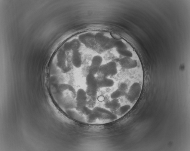 X0000114551055200911301220