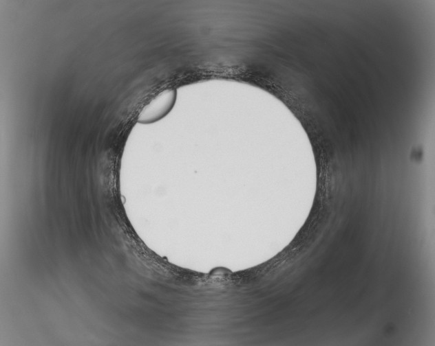 X0000114551058200911301220