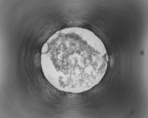 X0000114551059200911301220