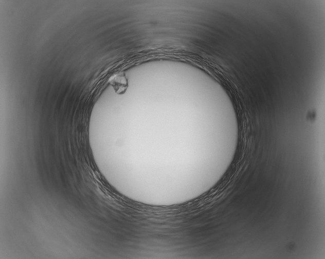 X0000114551060200911301220