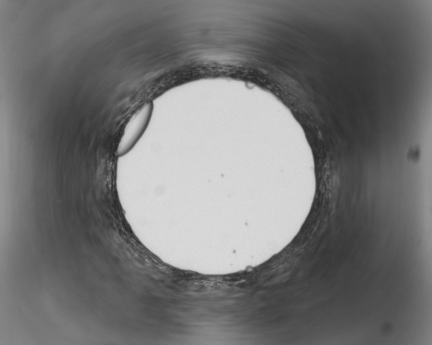 X0000114551061200911301220