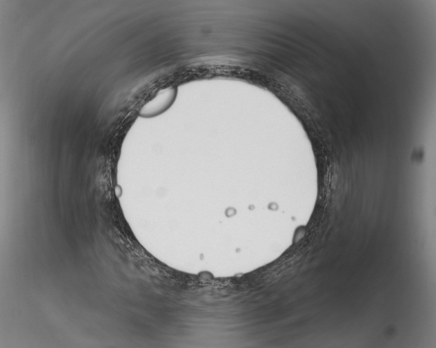 X0000114551062200911301220