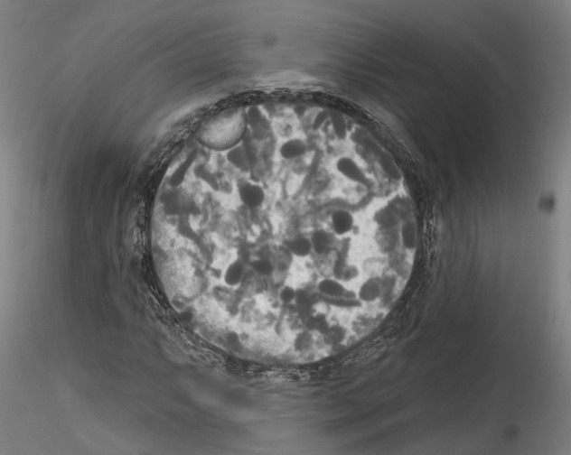 X0000114551063200911301219