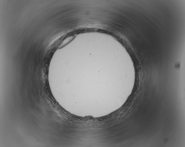 X0000114551064200911301219