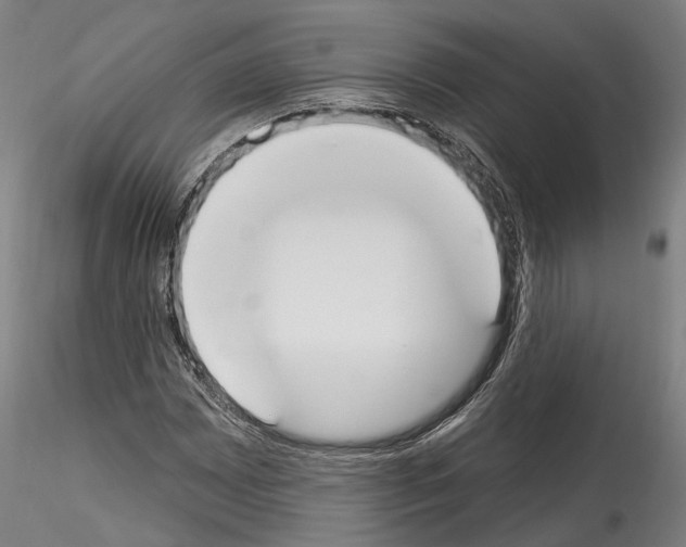 X0000114551065200911301219