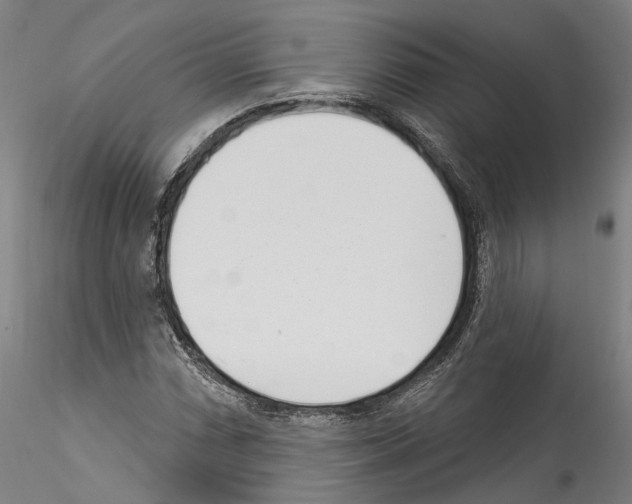 X0000114551066200911301219