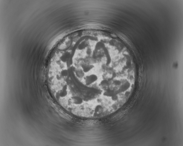 X0000114551067200911301219