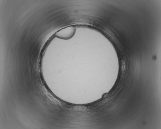 X0000114551068200911301219