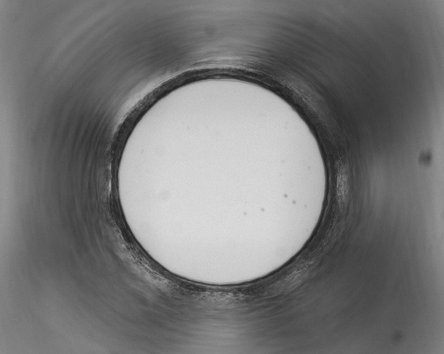 X0000114551069200911301219