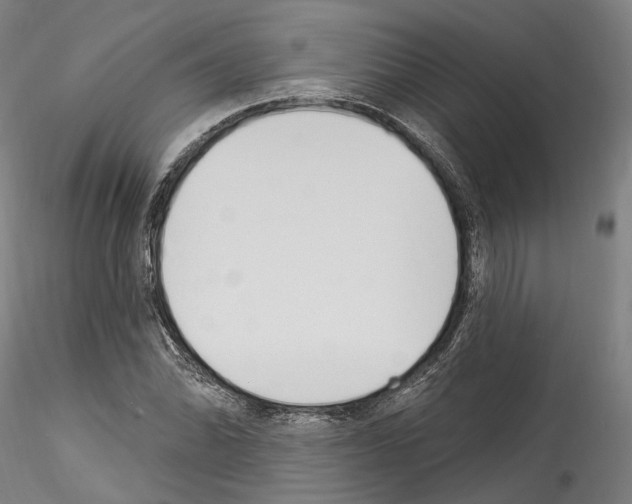 X0000114551070200911301219