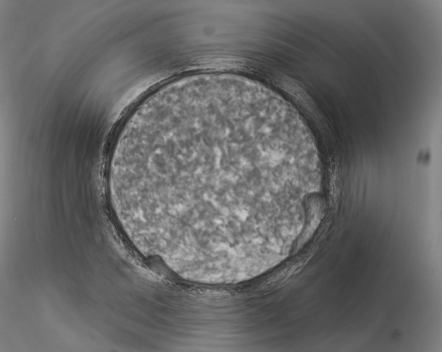 X0000114551071200911301219