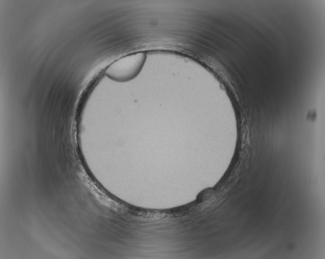X0000114551072200911301219