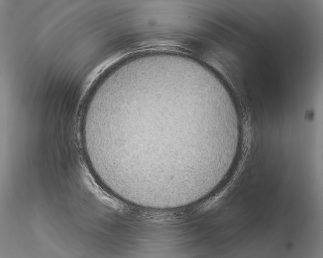 X0000114551074200911301219
