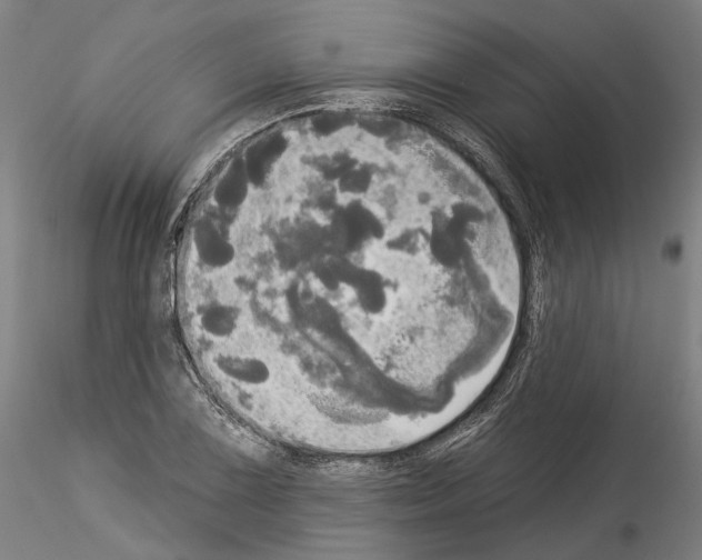 X0000114551075200911301219