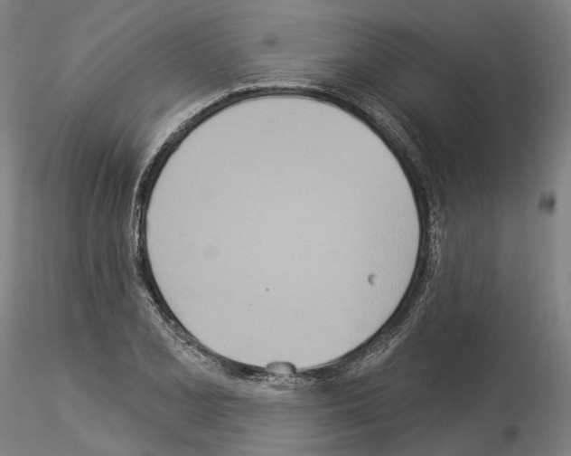 X0000114551077200911301219
