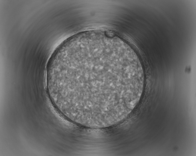 X0000114551079200911301219