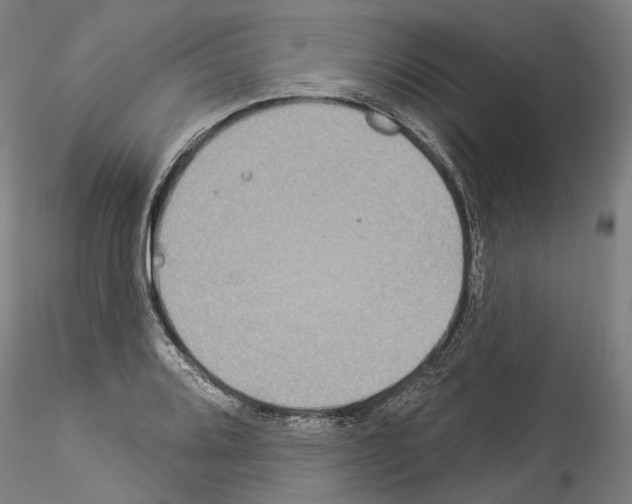 X0000114551080200911301219