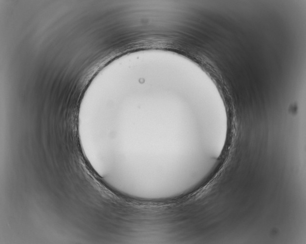 X0000114551081200911301219