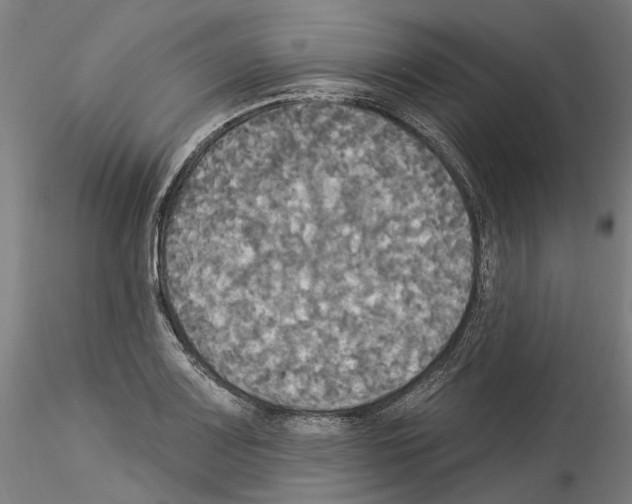 X0000114551083200911301219