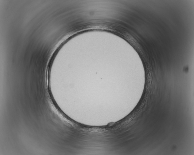 X0000114551084200911301219