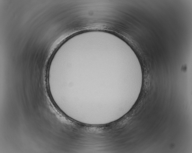 X0000114551086200911301219