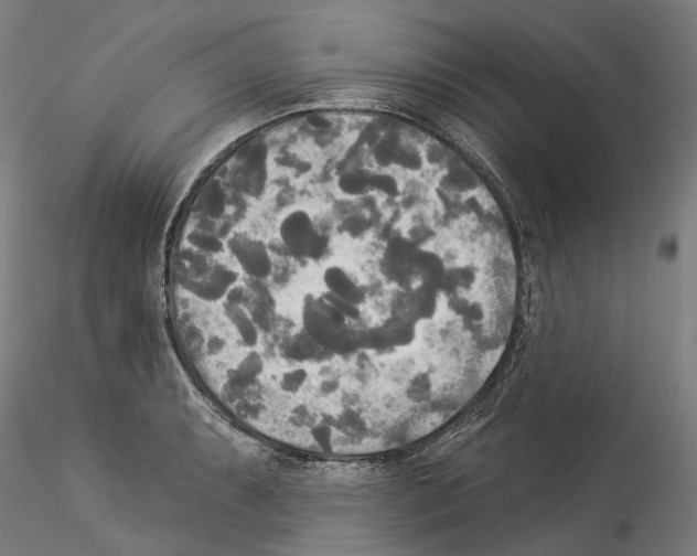 X0000114551087200911301219