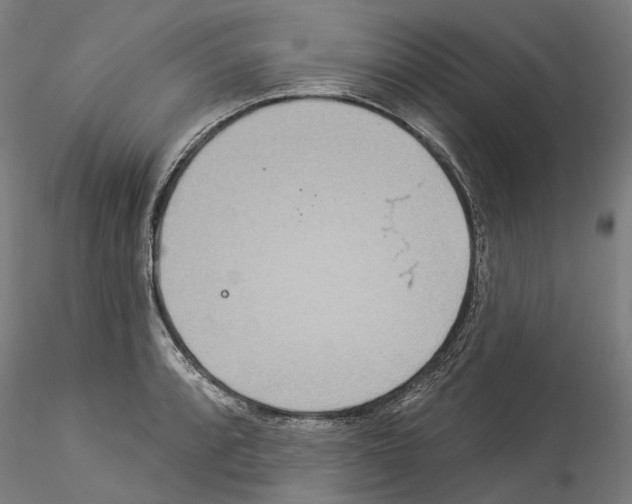 X0000114551088200911301219