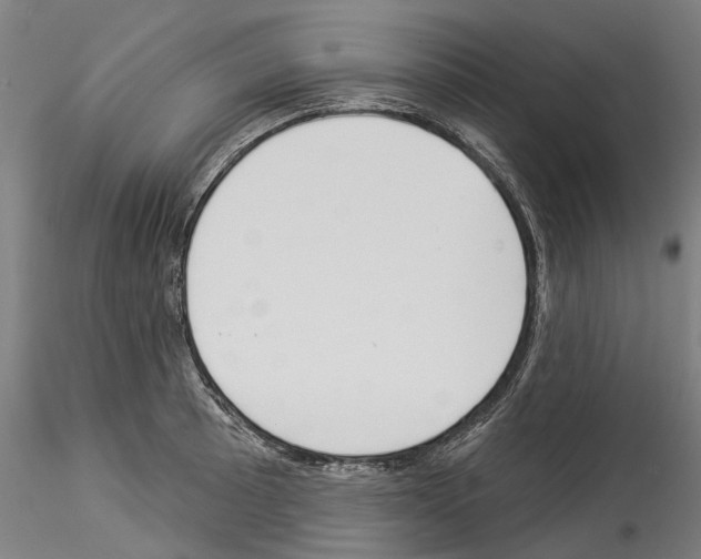 X0000114551089200911301219
