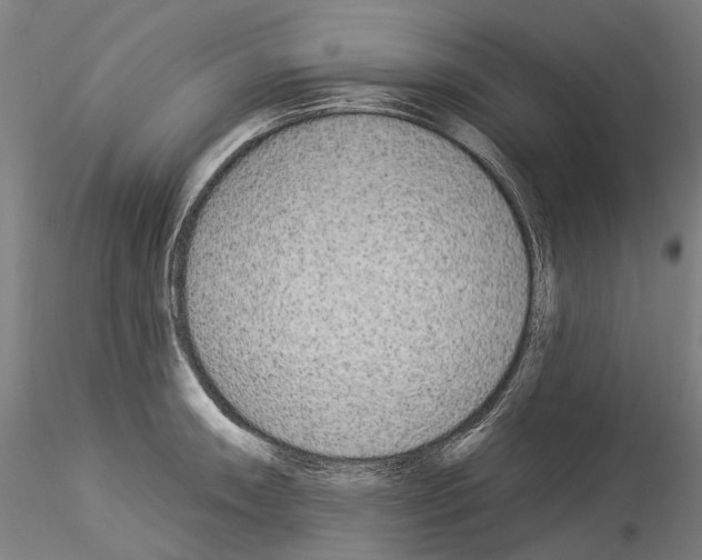X0000114551090200911301219