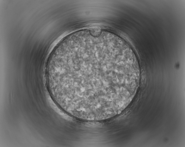 X0000114551091200911301219