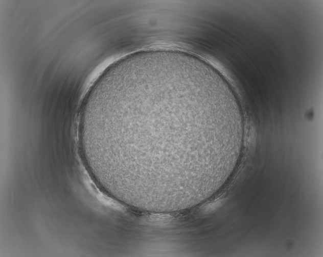 X0000114551094200911301219